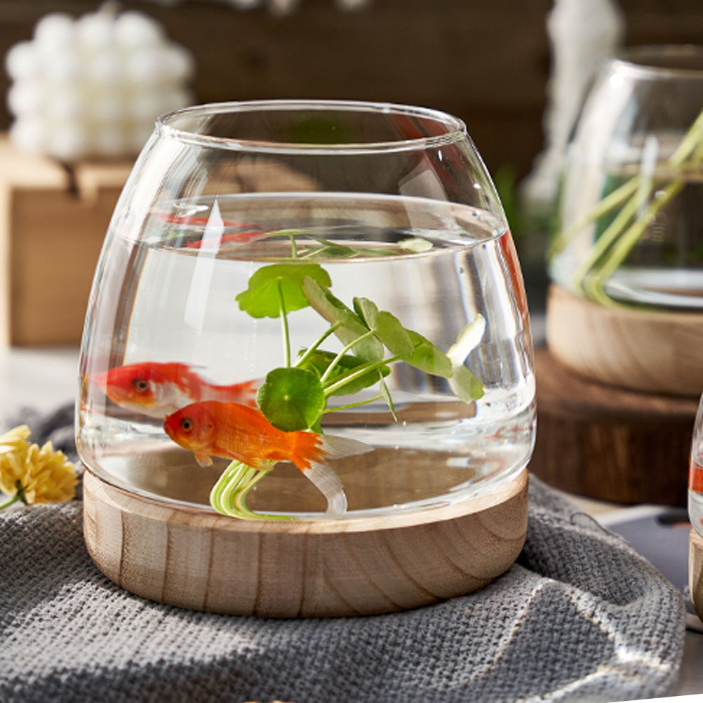 Aquarium Planted Aquarium - 1Set Premium Glass Hydroponic Plant Terrarium