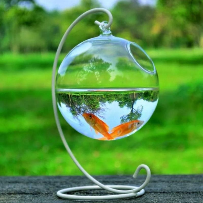 Aquarium For Planted Tank - Transparent Spherical Glass Handmade Fish for