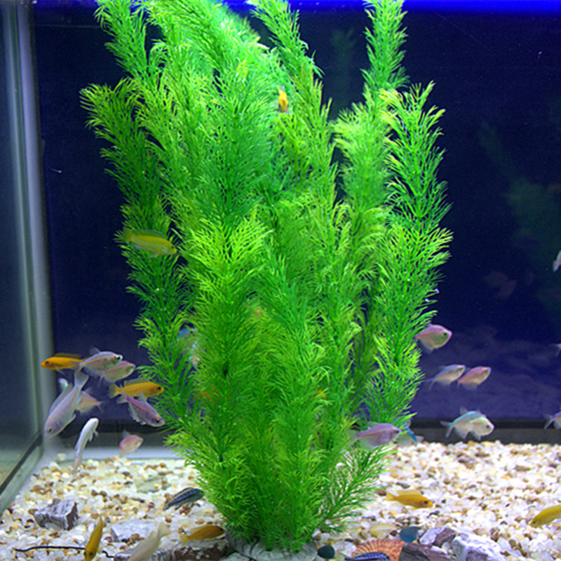 Aquarium Plant Display - 30cm Aquarium Artificial Water Grass Green