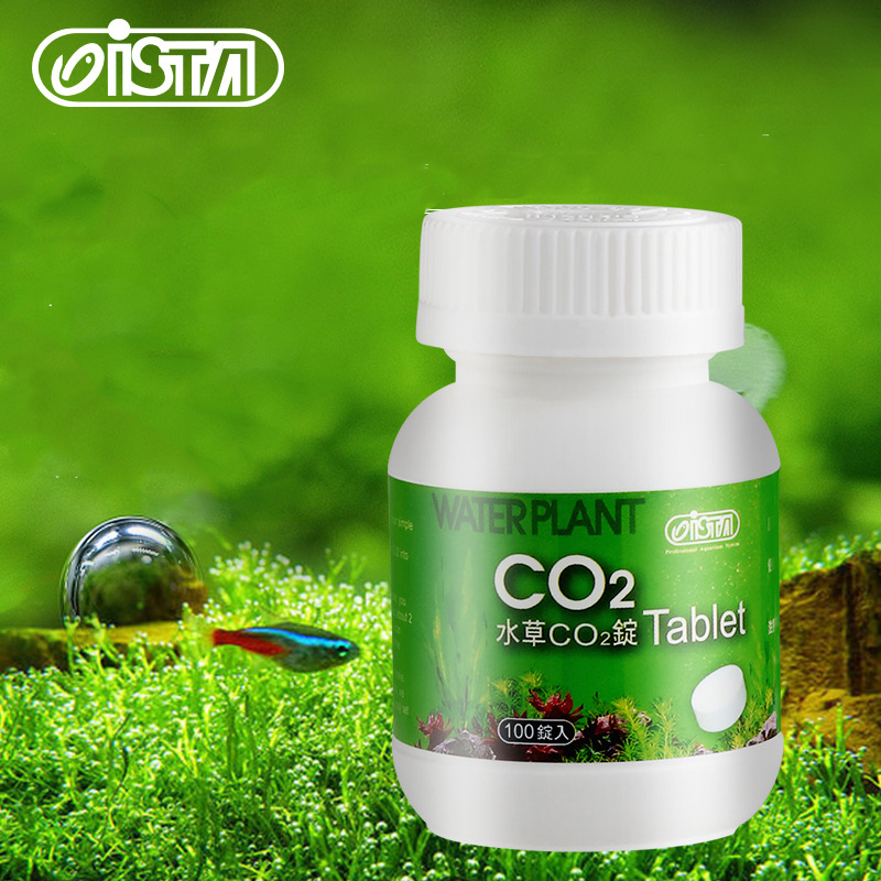 ISTA  Fish Tank Aquarium CO2 T - Planted Aquarium Without Fish recensione e prezzo