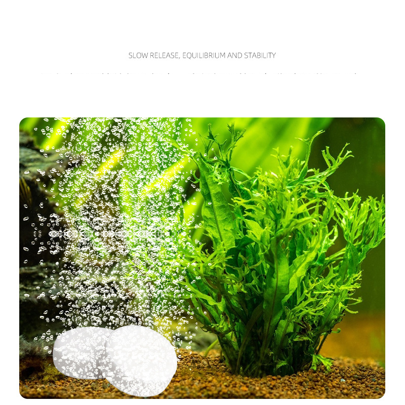 ISTA  Fish Tank Aquarium CO2 T - Planted Aquarium Without Fish recensione e prezzo