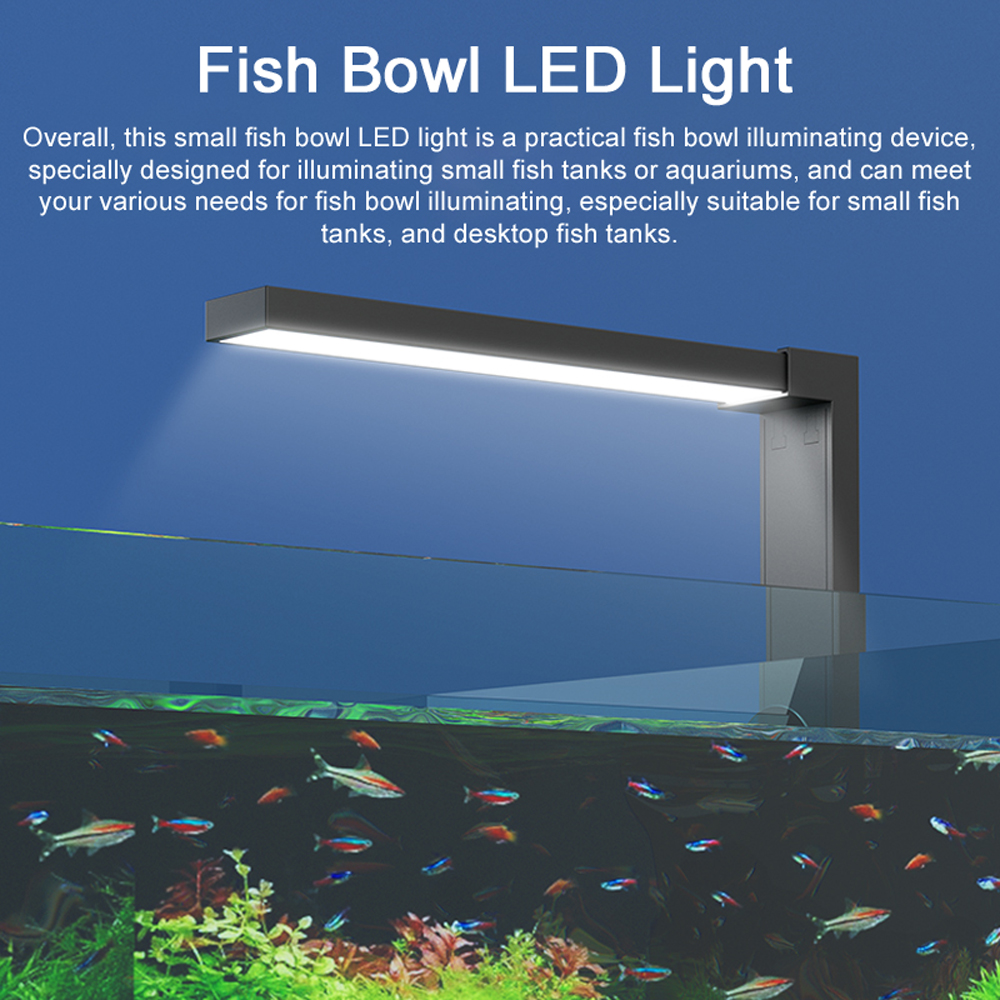 ABS Small Fish Bowl LED Light  - Aquarium Plant Display recensione e prezzo