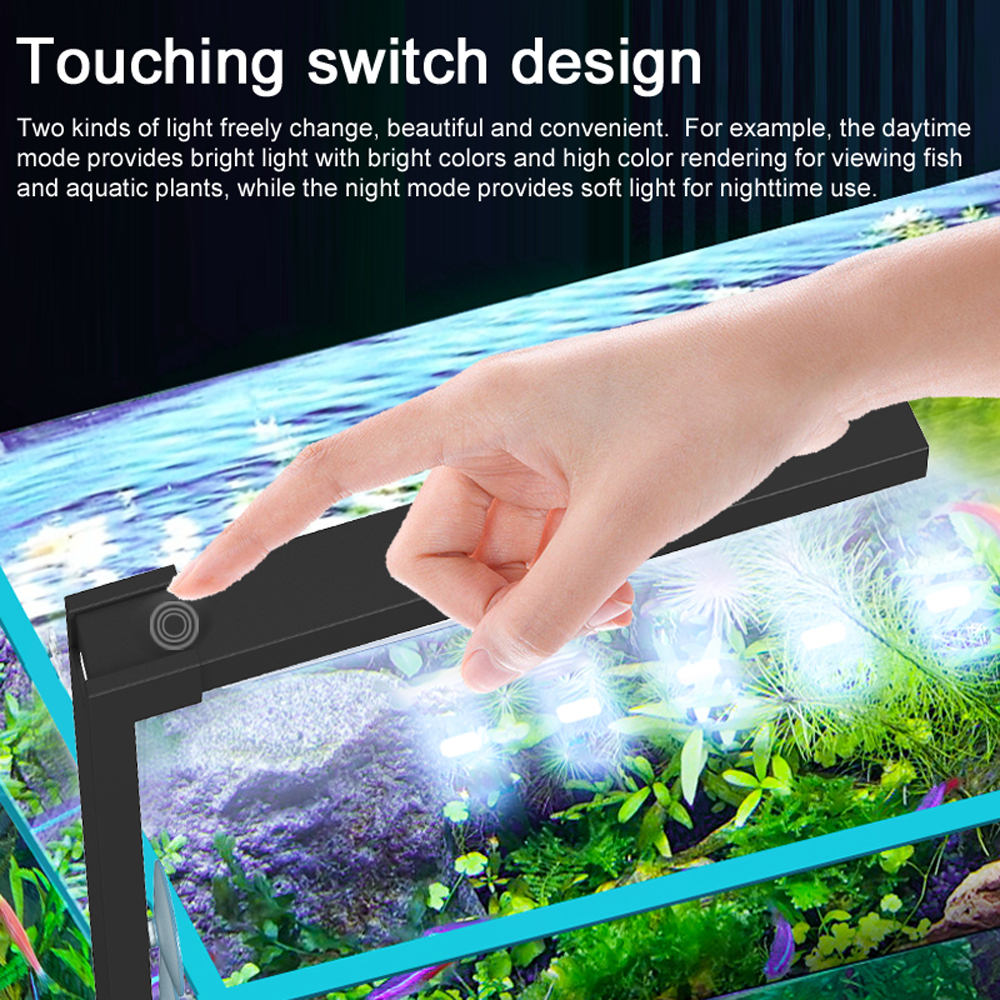 ABS Small Fish Bowl LED Light  - Aquarium Plant Display recensione e prezzo