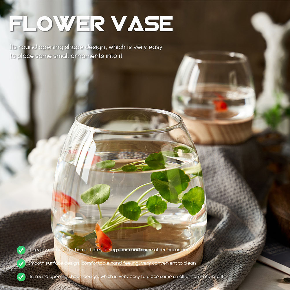 1Set Premium Glass Hydroponic  - Aquarium Planted Aquarium recensione e prezzo