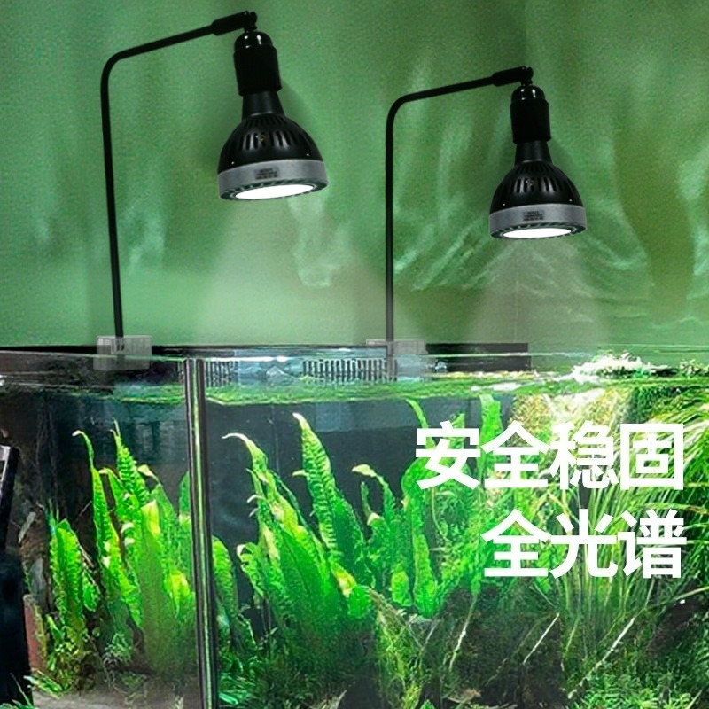 LED fish tank light stand aqua - Planted Aquarium Algae recensione e prezzo