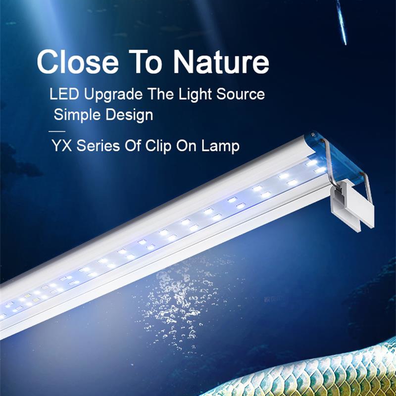 Extensible Waterproof Clip on  - Aquarium Plant Display recensione e prezzo