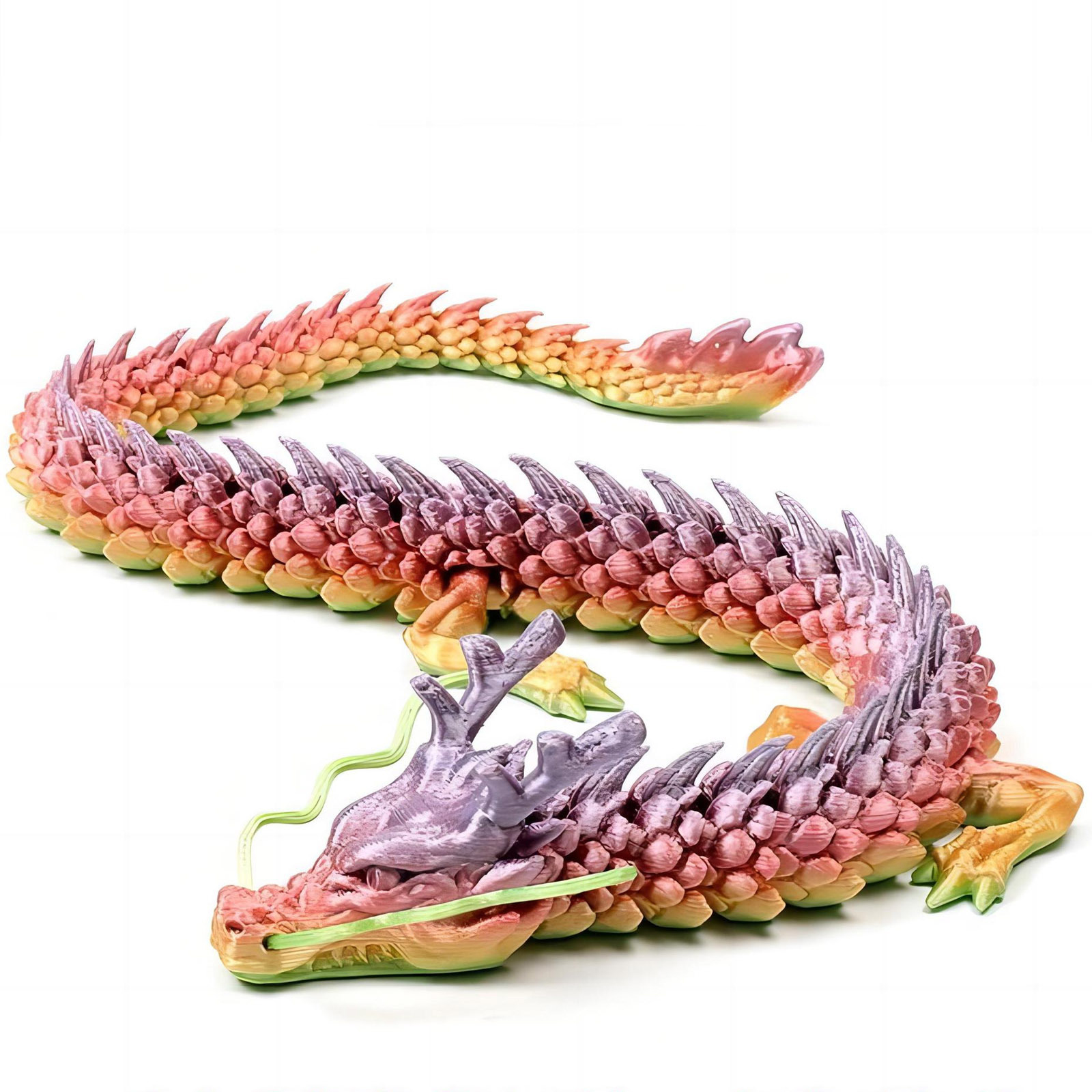 3D Printed Conjoined Dragon Or - Aquarium Plant Display recensione e prezzo