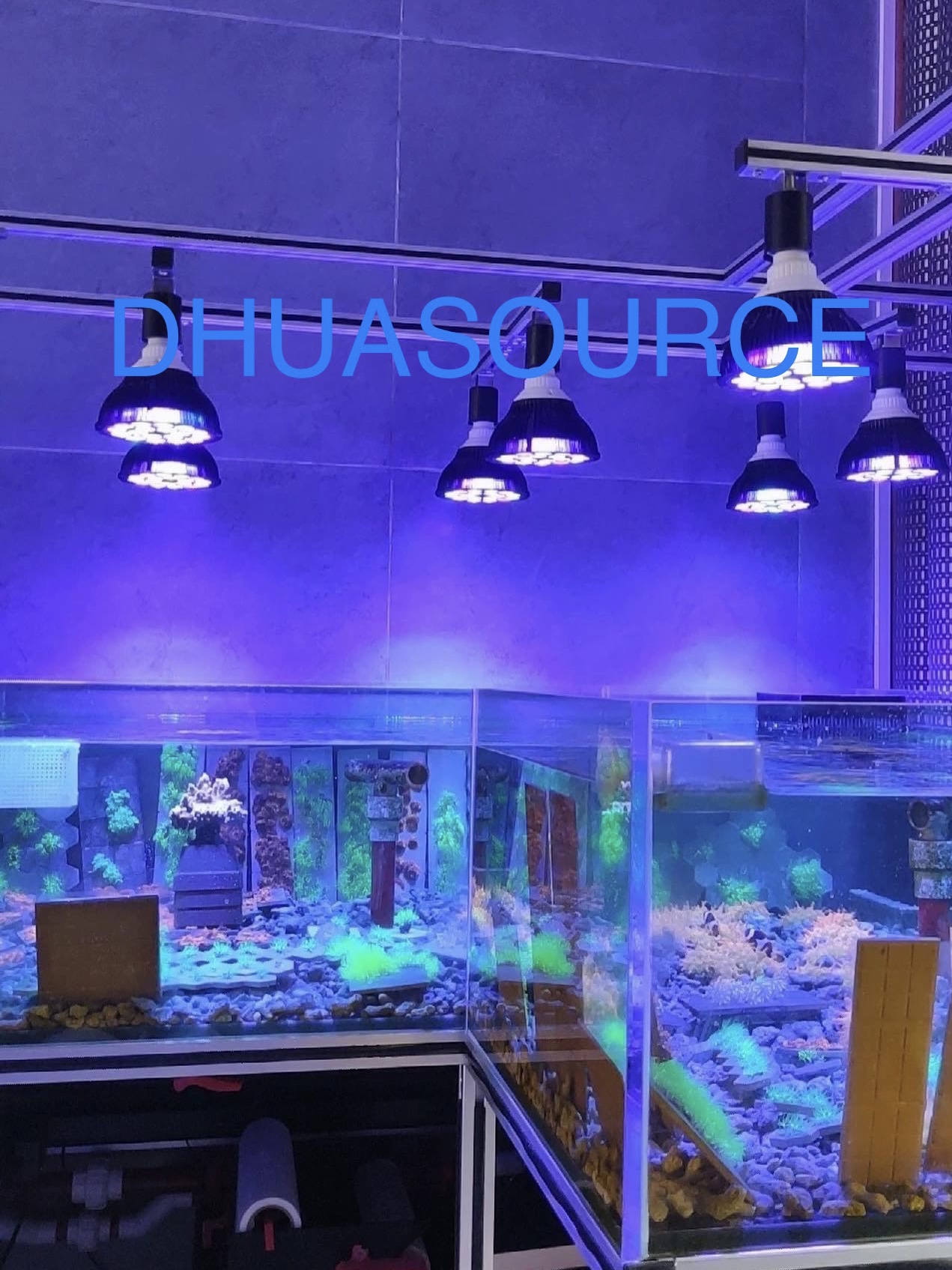 Full specturm LED Aquarium Ree - Aquarium Plant Growth Light recensione e prezzo