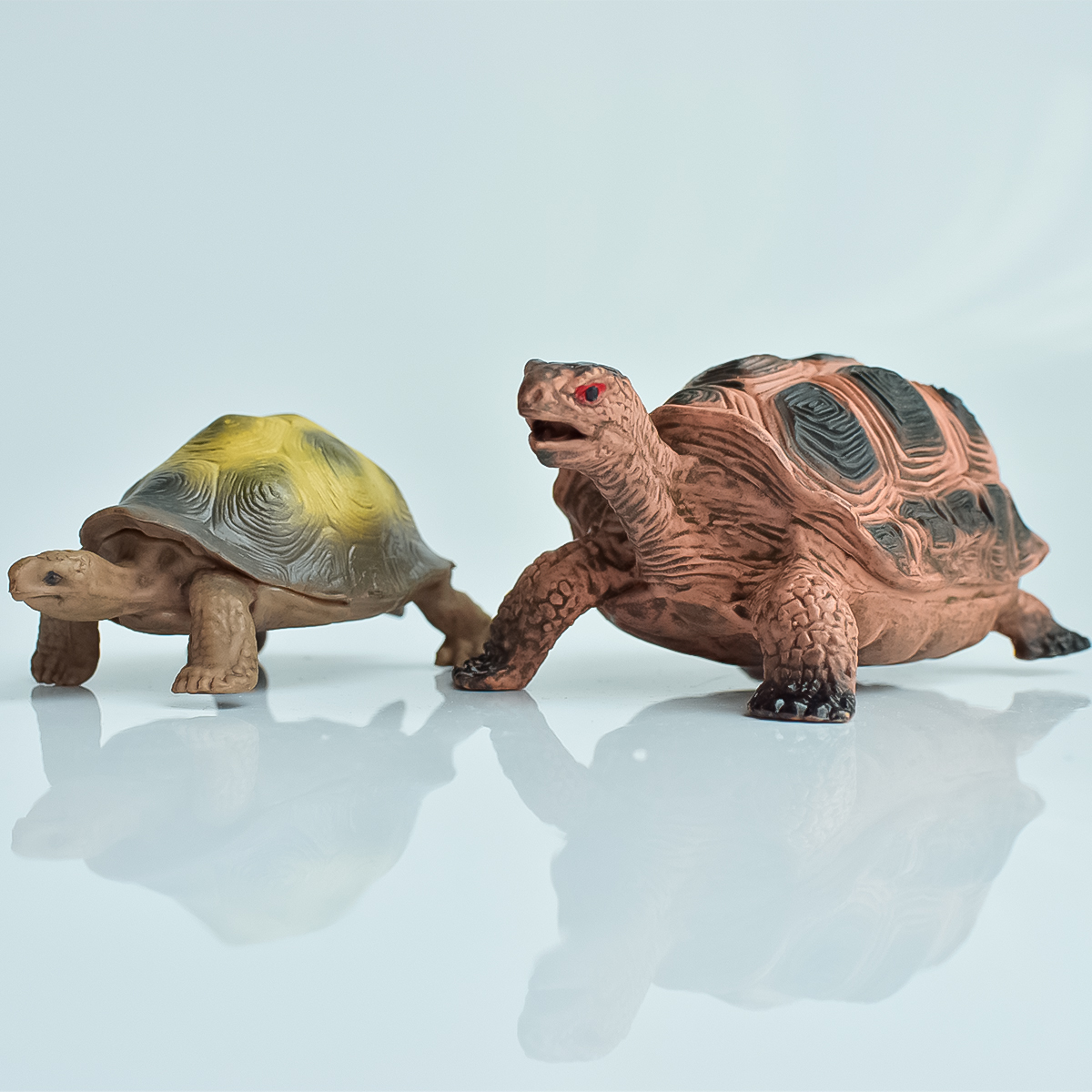 Painted Realistic Animal Turtl - Aquarium Planted Aquarium recensione e prezzo