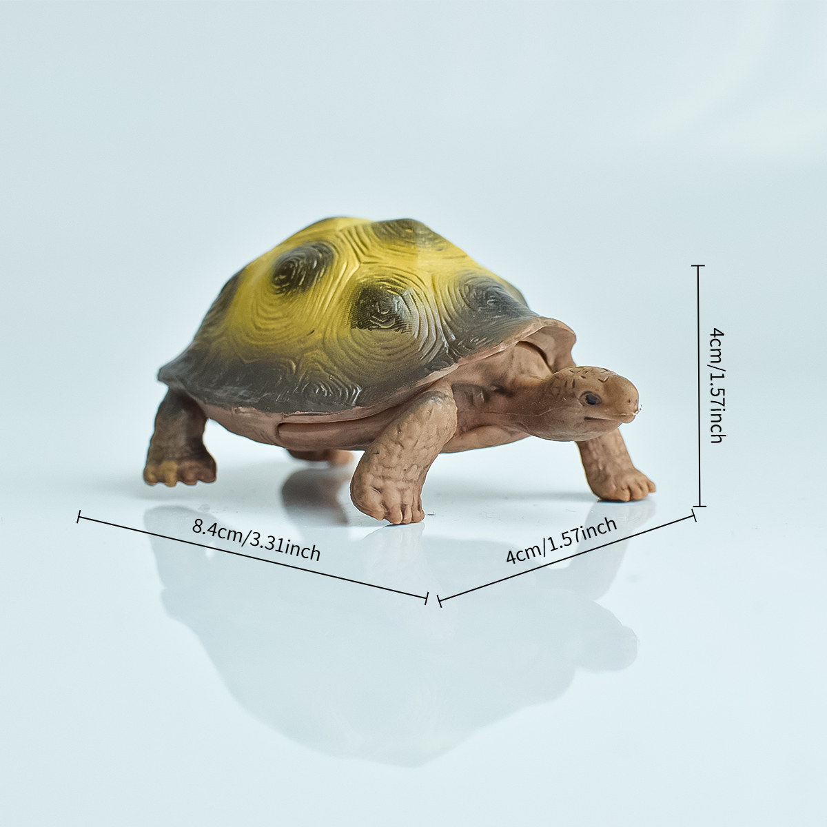 Painted Realistic Animal Turtl - Aquarium Planted Aquarium recensione e prezzo