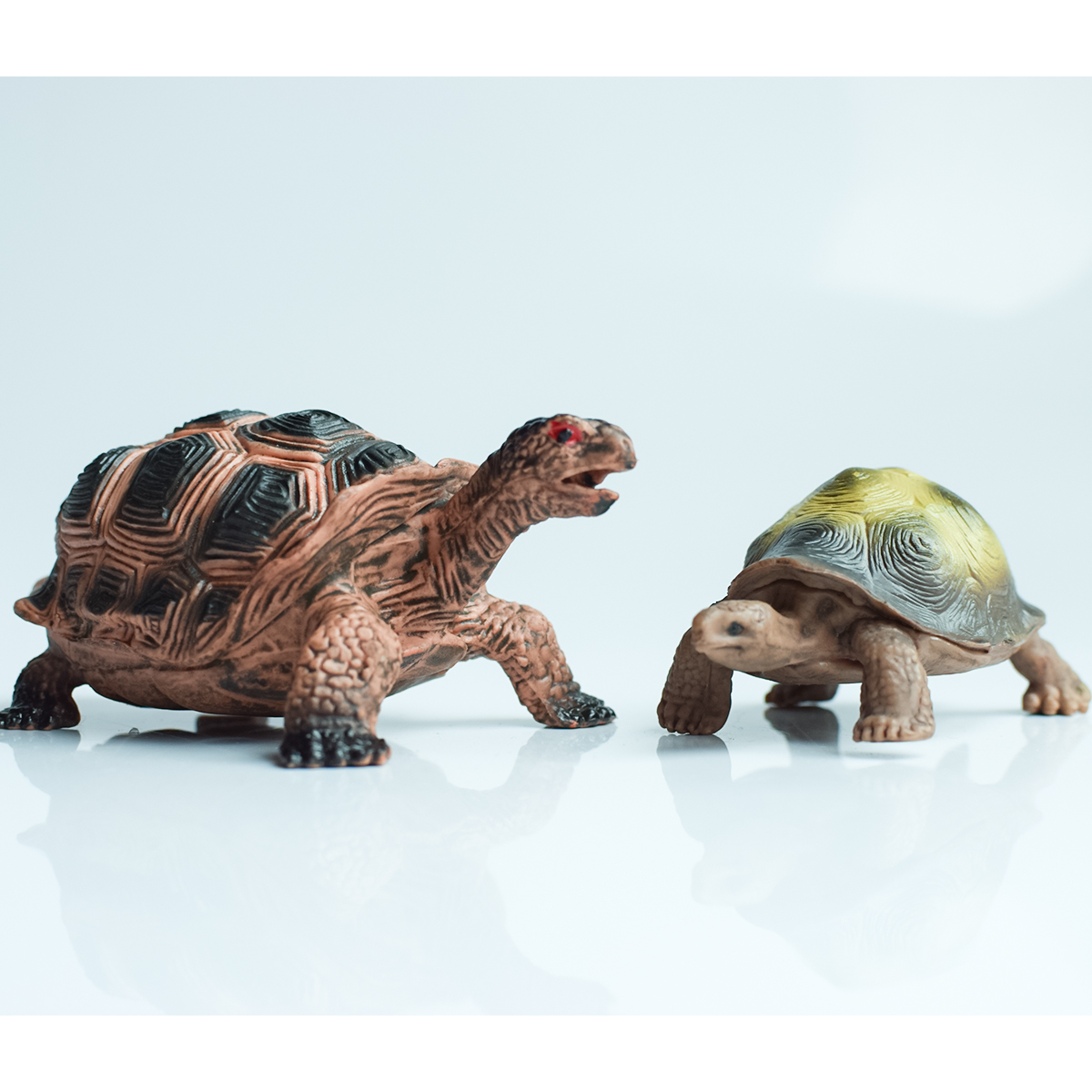 Painted Realistic Animal Turtl - Aquarium Planted Aquarium recensione e prezzo