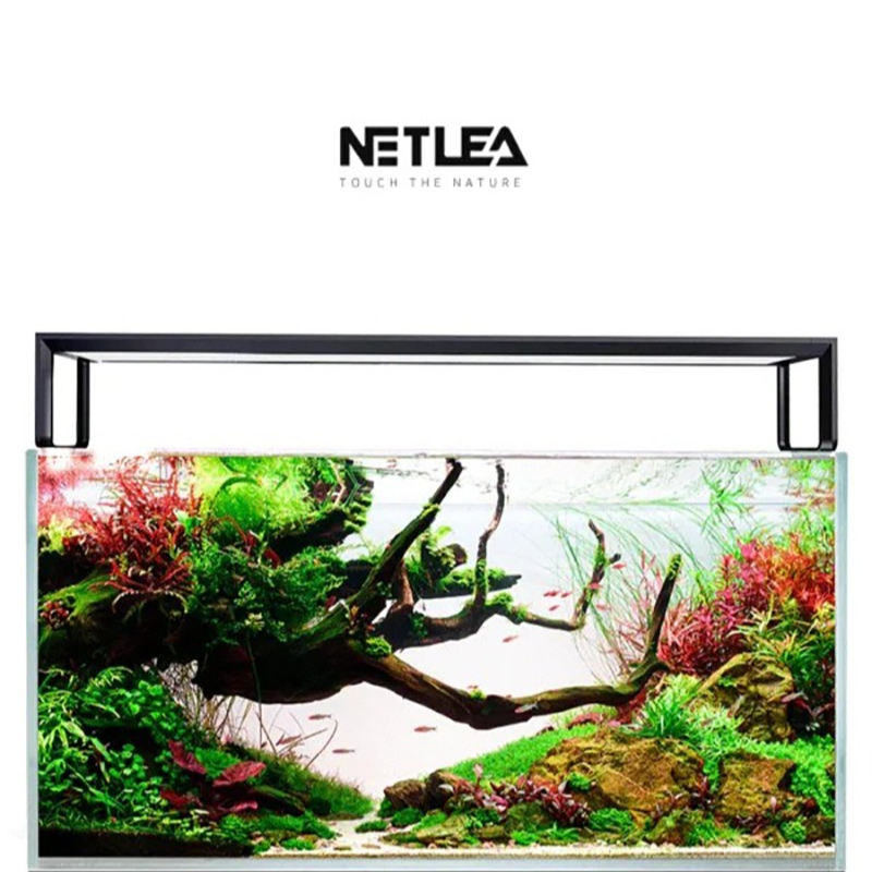 Netlea AT5S V3 Smart Wifi APP  - Aquarium Plant Display recensione e prezzo