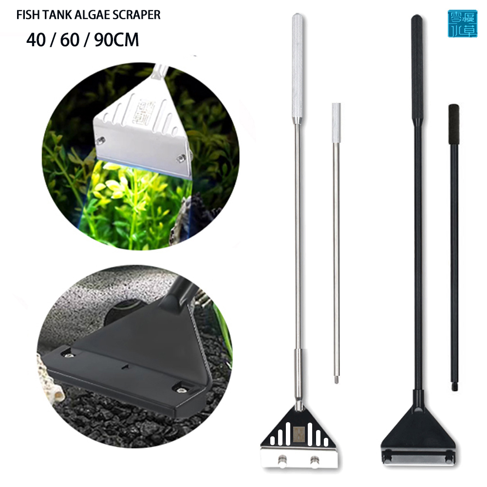 Aquarium Stainless Steel Fish  - Planted Aquarium Algae recensione e prezzo
