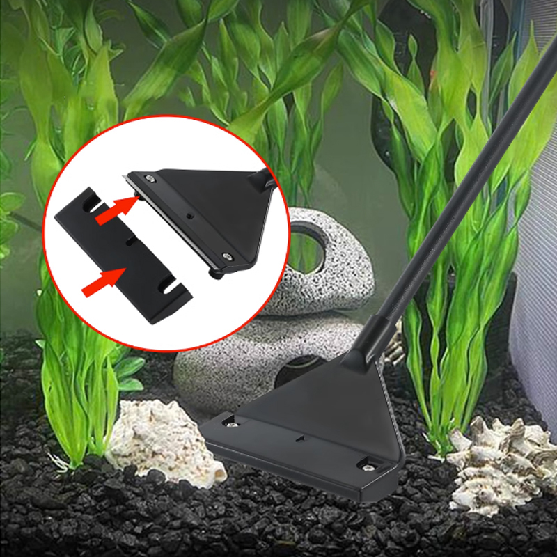 Aquarium Stainless Steel Fish  - Planted Aquarium Algae recensione e prezzo