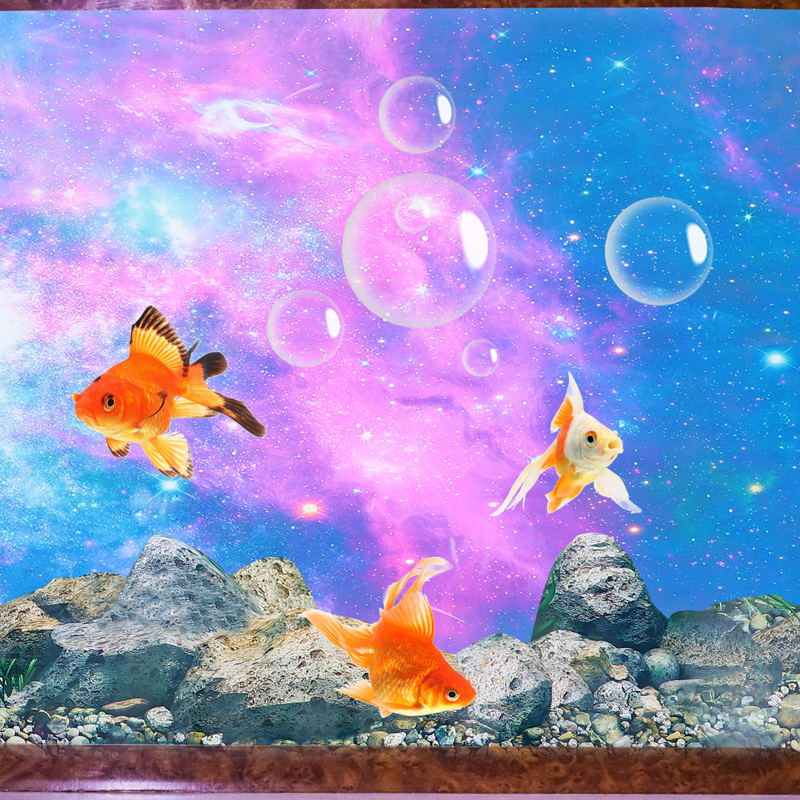 Fish Tank Background Sticker A - Planted Aquarium Wallpaper recensione e prezzo
