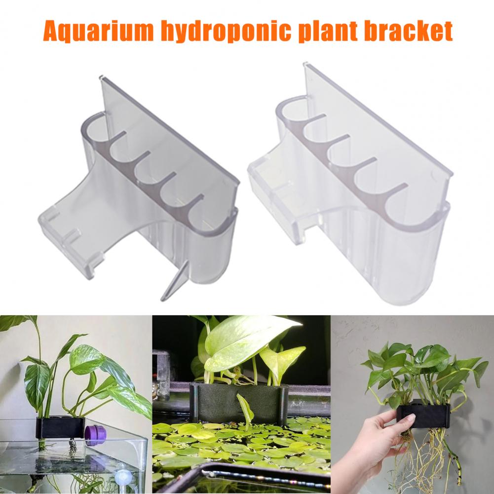 4.5/6.5cm Aquarium Plant Holde - Aquarium Plant In Pot recensione e prezzo