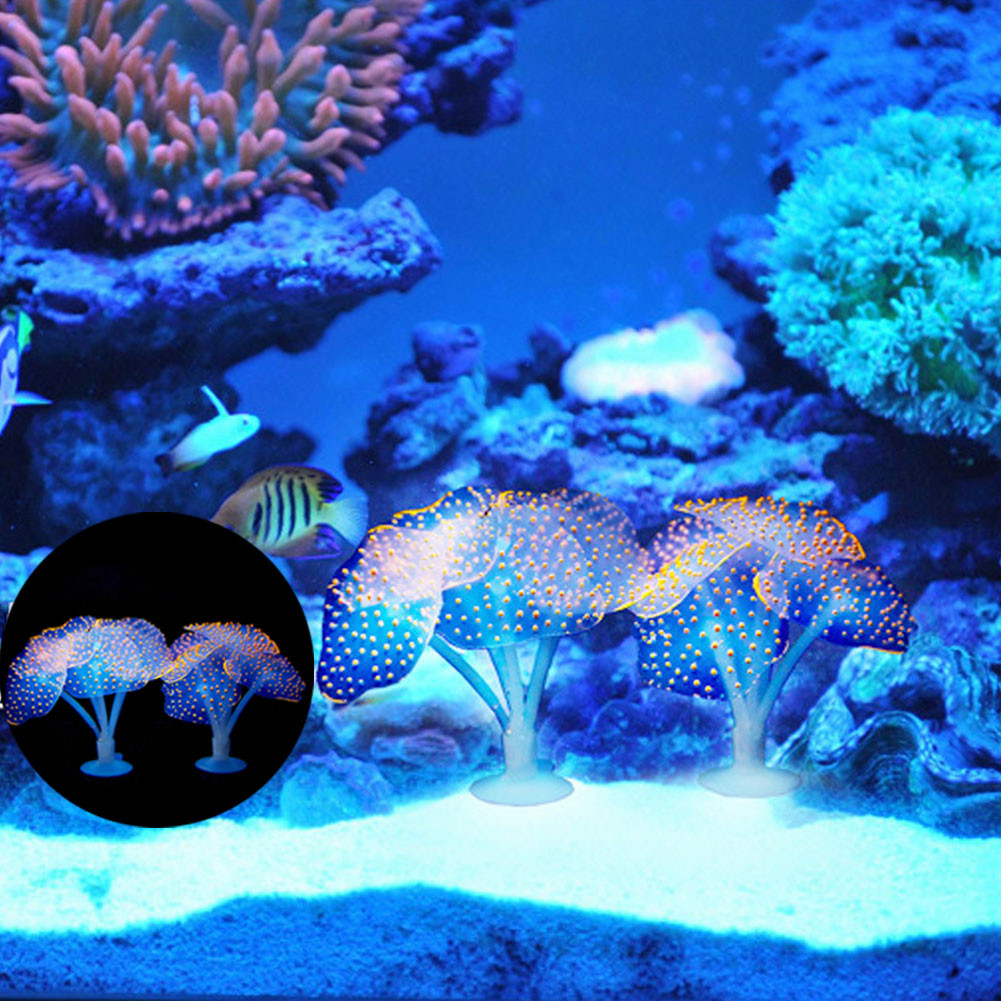 1Pcs Luminous Anemone Artifici - Aquarium For Planted Tank recensione e prezzo