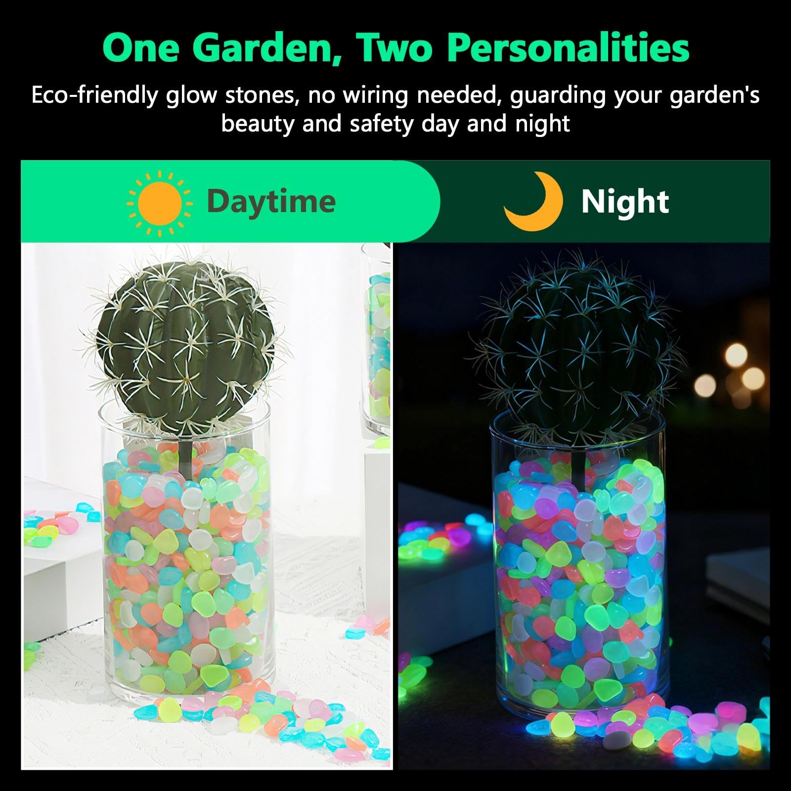 Potted Plants Glow In The Dark - Aquarium Planted Aquarium recensione e prezzo
