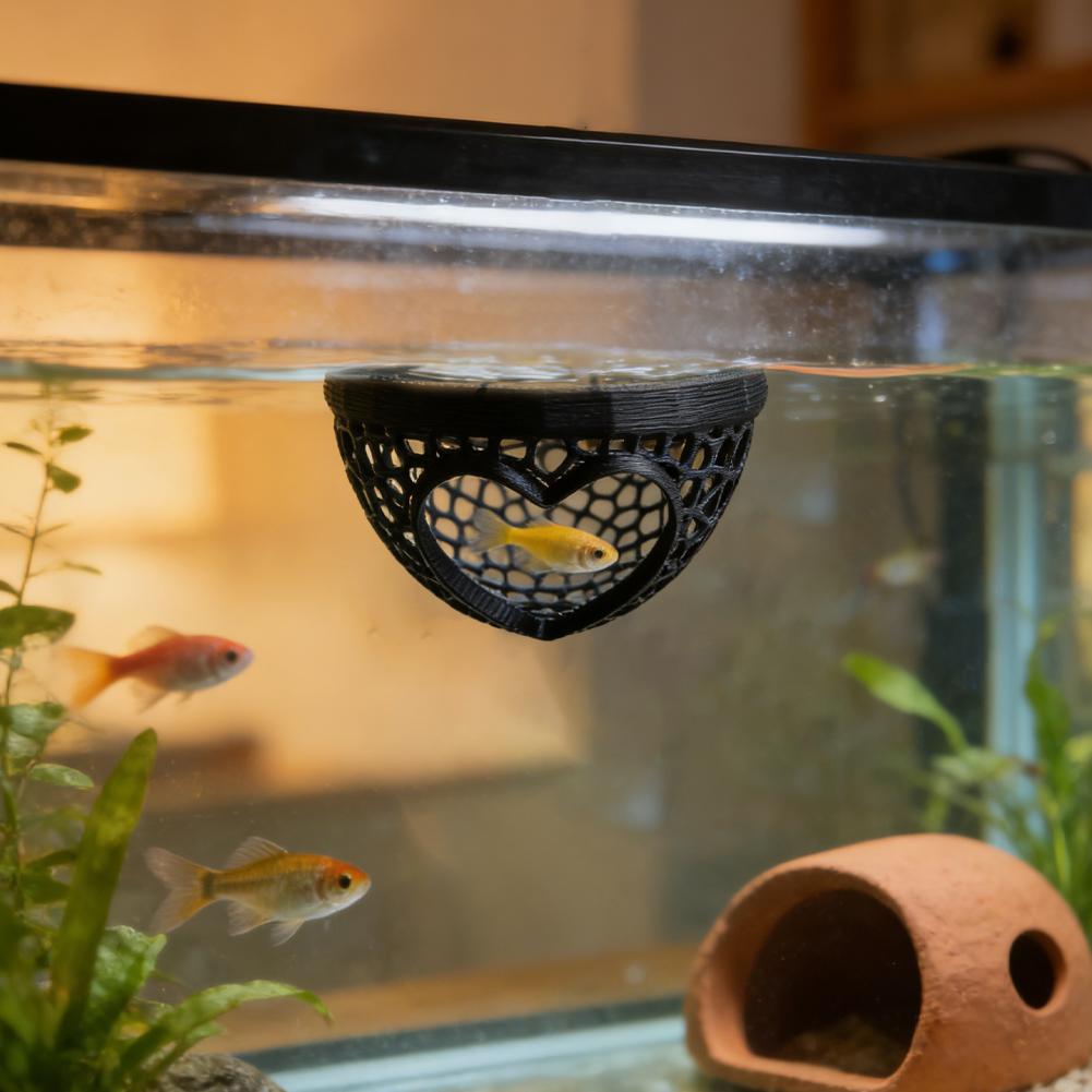 Heart-Shaped Aquarium Hideaway - Planted Aquarium Without Fish recensione e prezzo