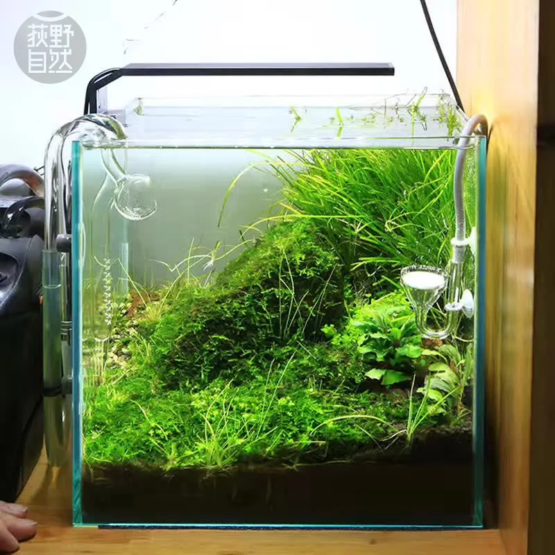 Chihiros C Series ADA Style Pl - Aquarium Plant Growth Light recensione e prezzo