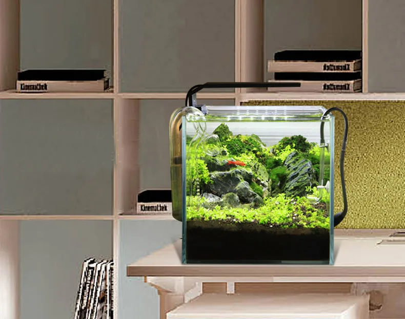 Chihiros C Series ADA Style Pl - Aquarium Plant Growth Light recensione e prezzo