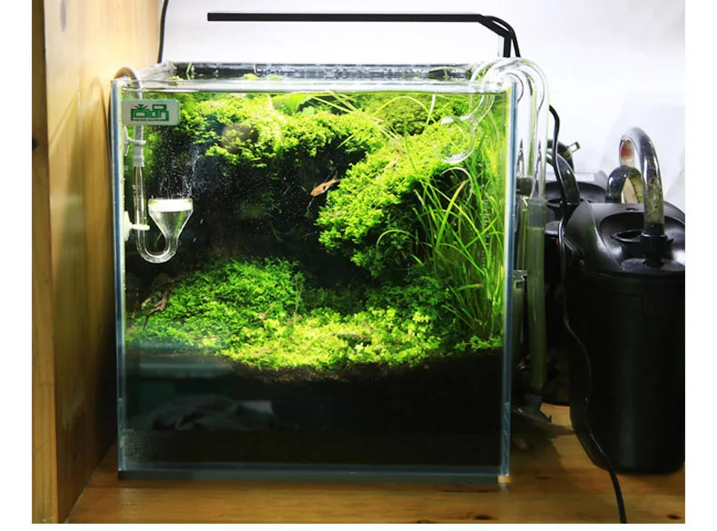 Chihiros C Series ADA Style Pl - Aquarium Plant Growth Light recensione e prezzo