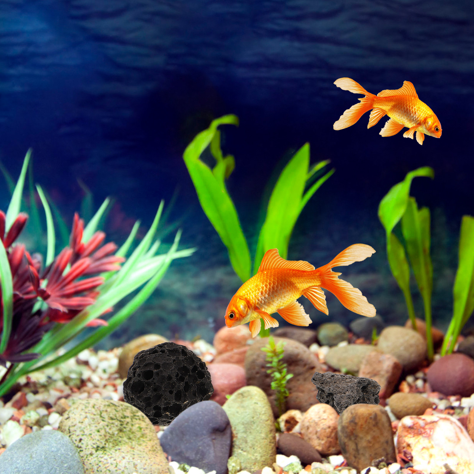 Volcanic Rock Ornaments Natura - Aquarium Plant In Pot recensione e prezzo