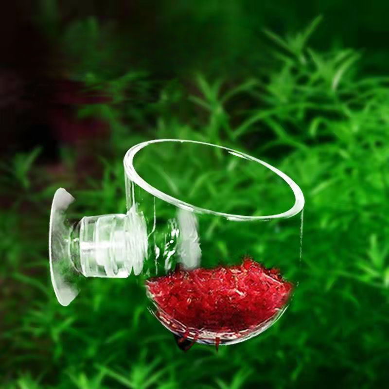Acrylic Aquatic Plant Cup With - Aquarium Plant In Pot recensione e prezzo