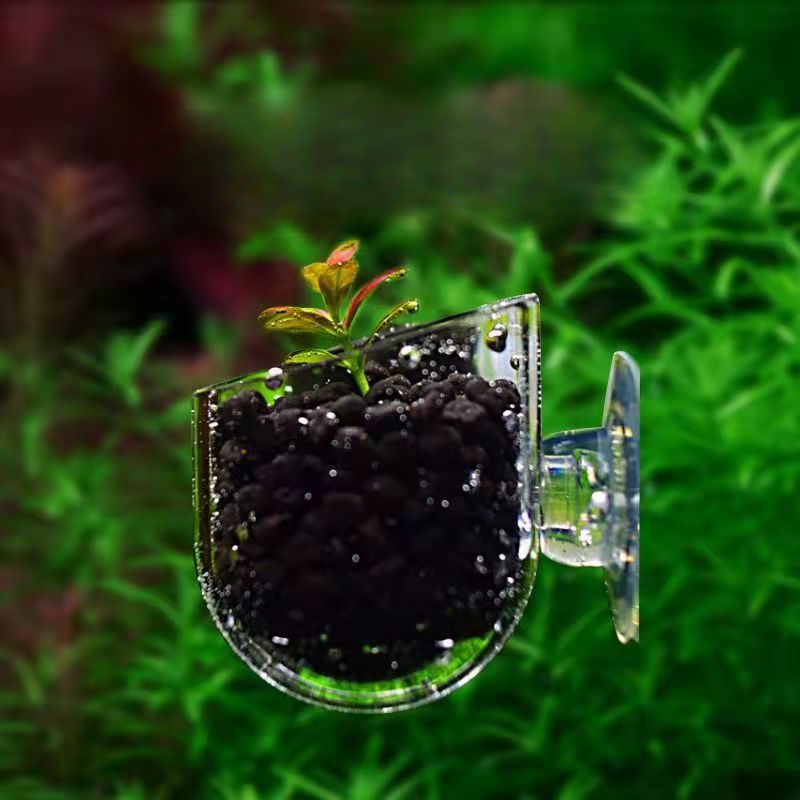 Acrylic Aquatic Plant Cup With - Aquarium Plant In Pot recensione e prezzo