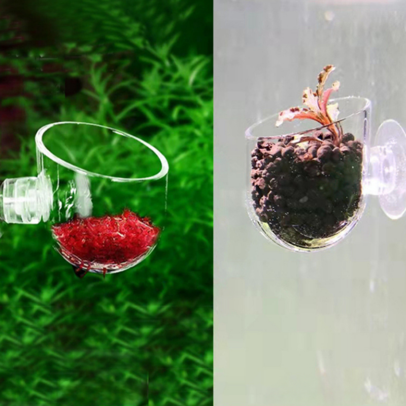 Acrylic Aquatic Plant Cup With - Aquarium Plant In Pot recensione e prezzo