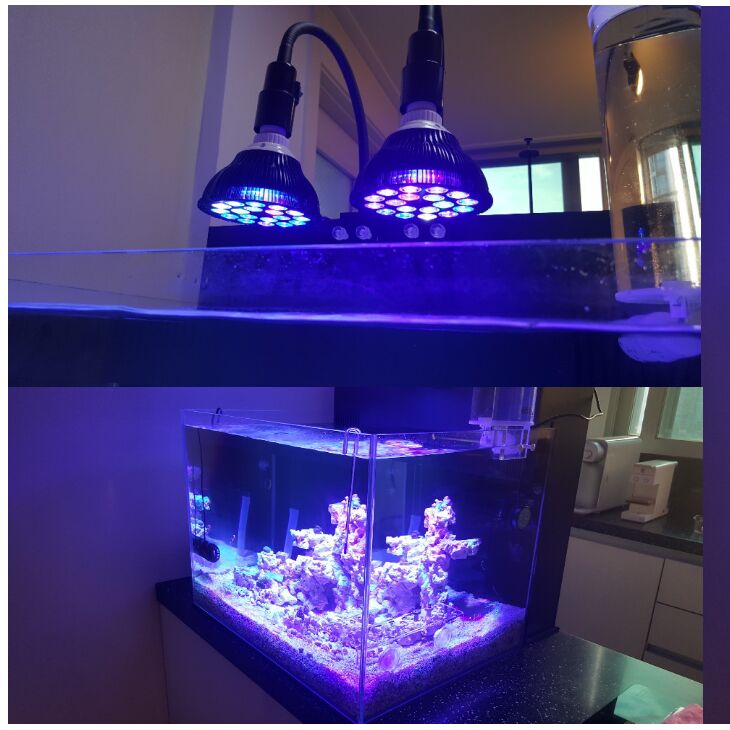Free customize LED Aquarium li - Planted Aquarium Algae recensione e prezzo