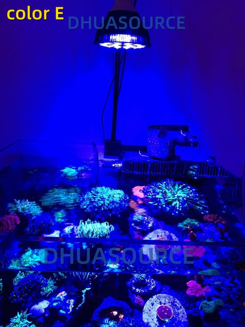 Free customize LED Aquarium li - Planted Aquarium Algae recensione e prezzo
