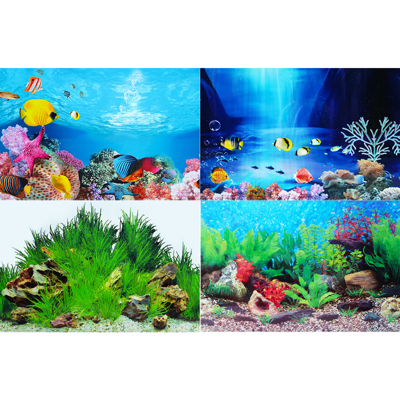 3D Background for Aquarium Dou - Planted Aquarium Wallpaper recensione e prezzo