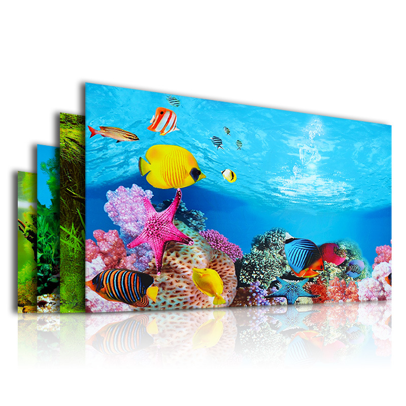 3D Background for Aquarium Dou - Planted Aquarium Wallpaper recensione e prezzo