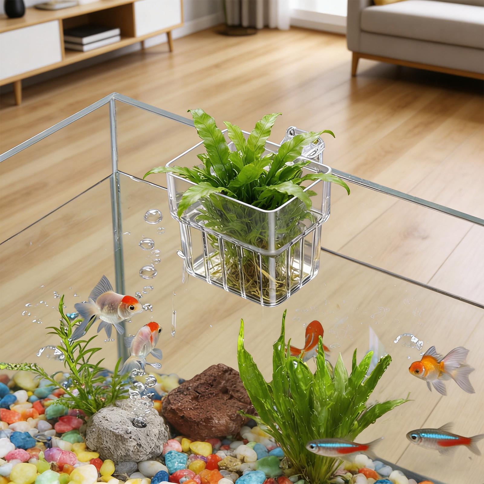 Transparent Hangable Aquarium  - Aquarium Plant Display recensione e prezzo