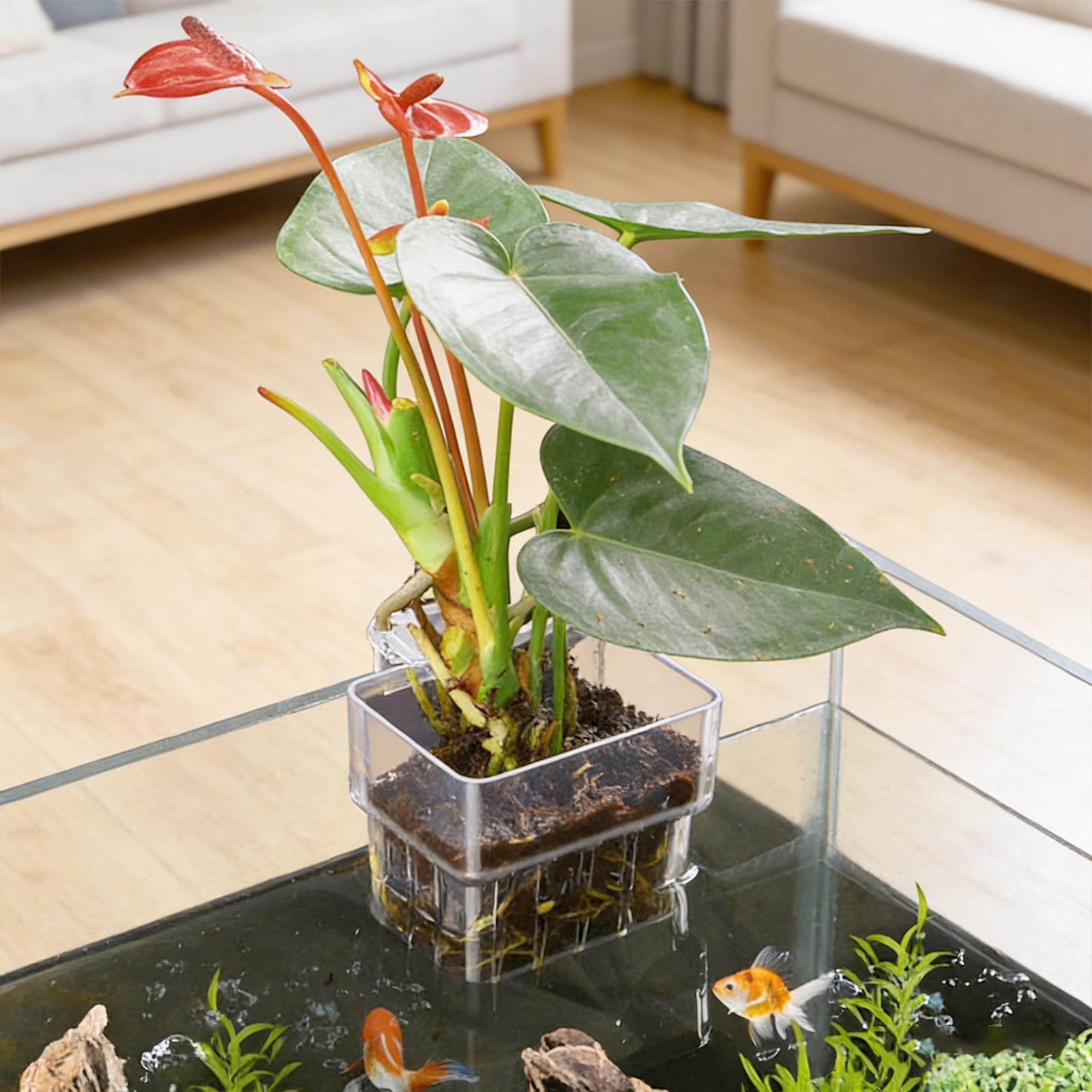 Transparent Hangable Aquarium  - Aquarium Plant Display recensione e prezzo