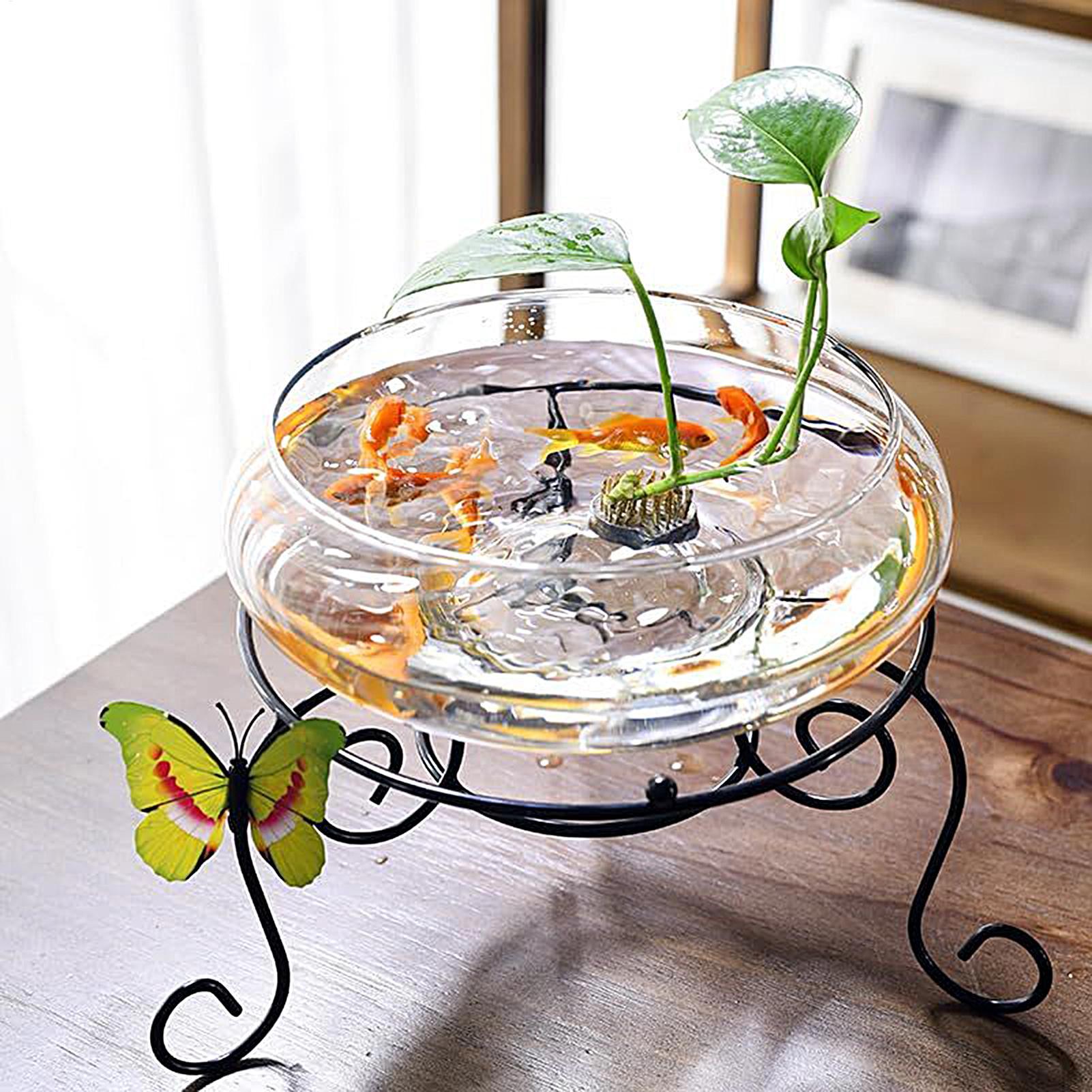 Fish Glass Bowl Glass Large Hy - Aquarium Planted Aquarium recensione e prezzo