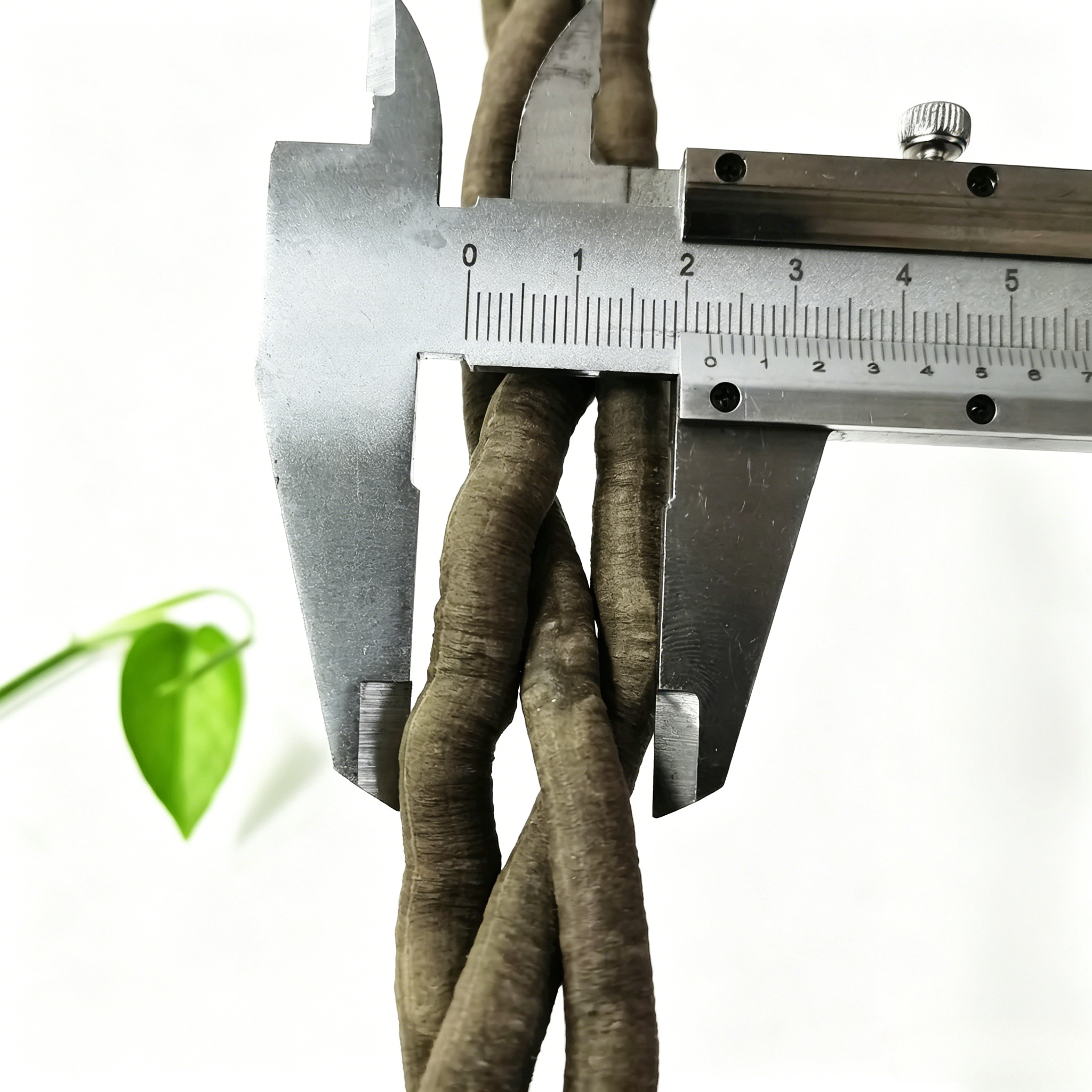 100cm Artificial Vine Fake Pla - Aquarium Plant Display recensione e prezzo