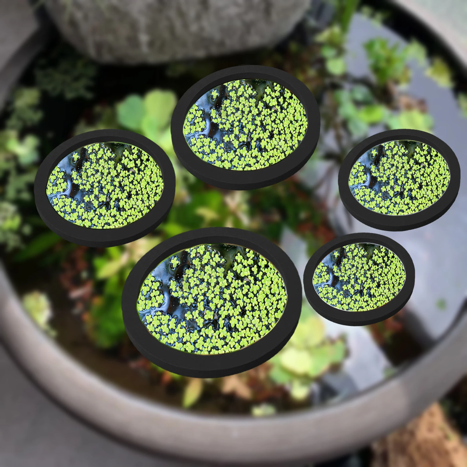 5Pcs EVA Fish Feeding Ring Aqu - Aquarium Plant In Pot recensione e prezzo