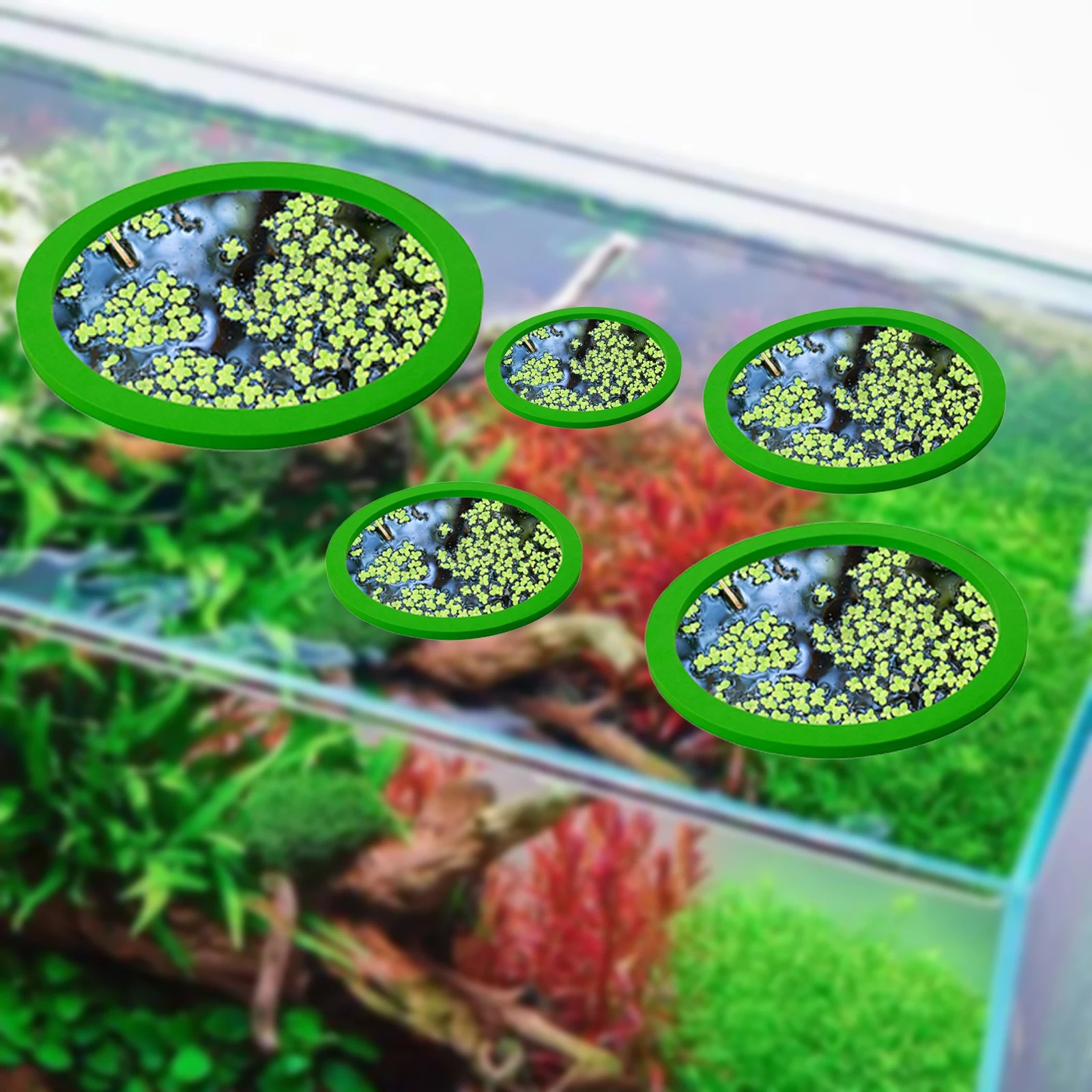 5Pcs EVA Fish Feeding Ring Aqu - Aquarium Plant In Pot recensione e prezzo