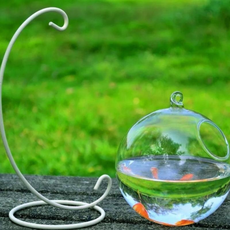 Transparent Spherical Glass Ha - Aquarium For Planted Tank recensione e prezzo