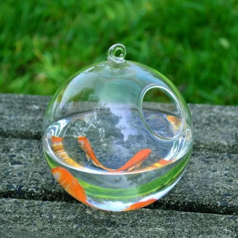 Transparent Spherical Glass Ha - Aquarium For Planted Tank recensione e prezzo