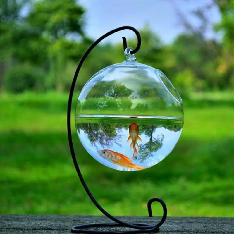 Transparent Spherical Glass Ha - Aquarium For Planted Tank recensione e prezzo