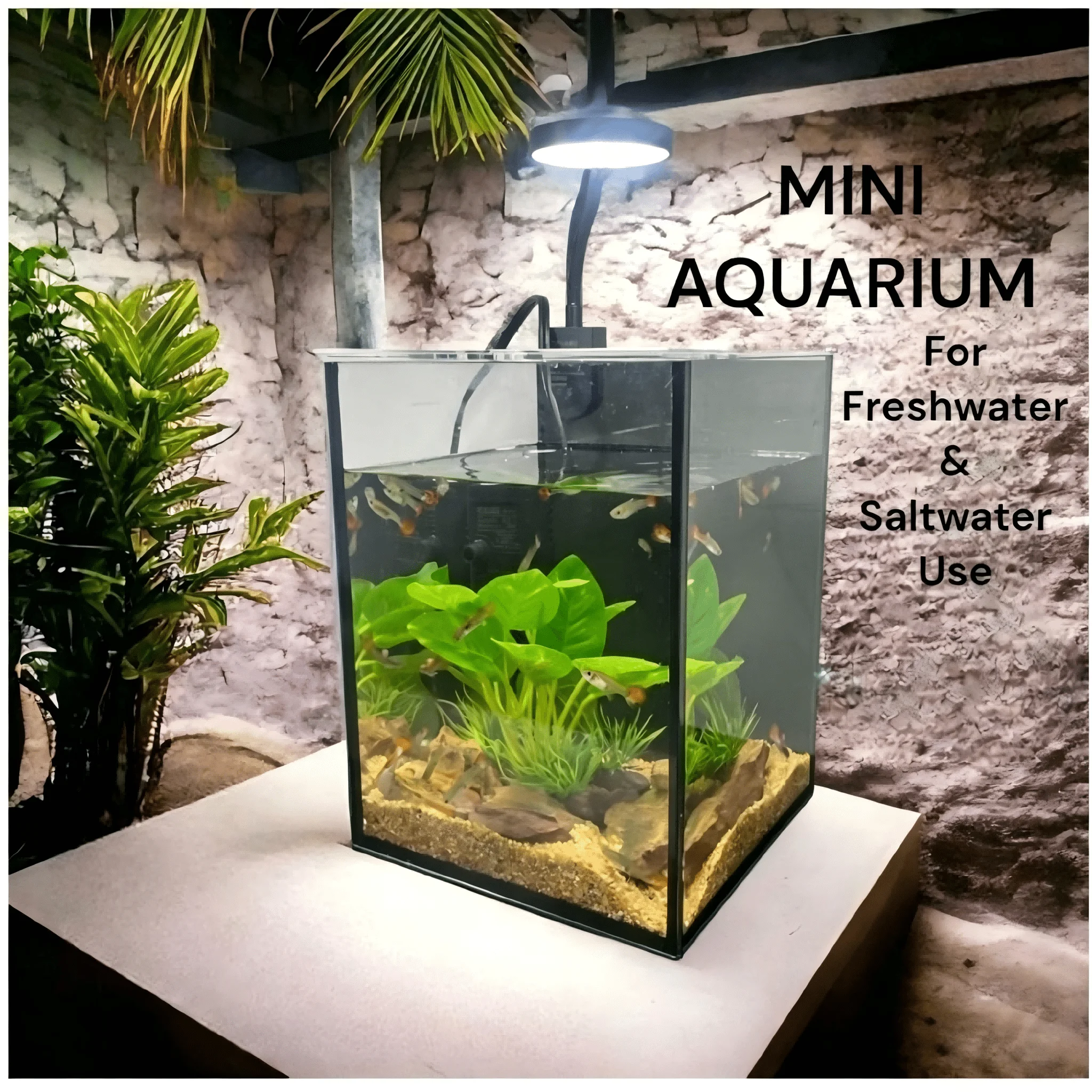 KEEHOME Mini Aquarium Set Fish - Planted Aquarium Without Fish recensione e prezzo