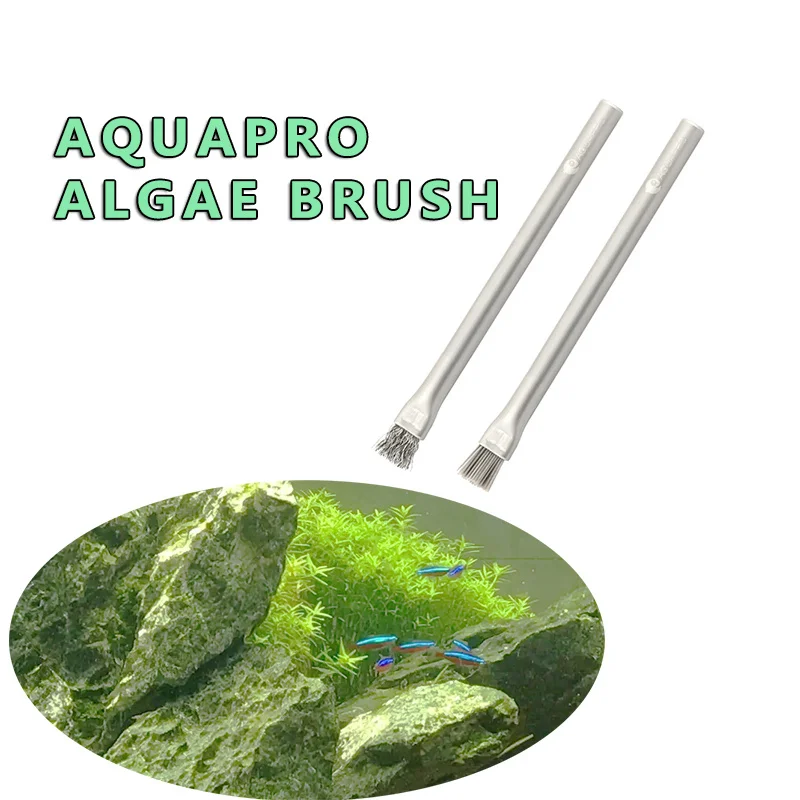 Aquapro Algae Brush Cleaning B - Planted Aquarium Algae recensione e prezzo
