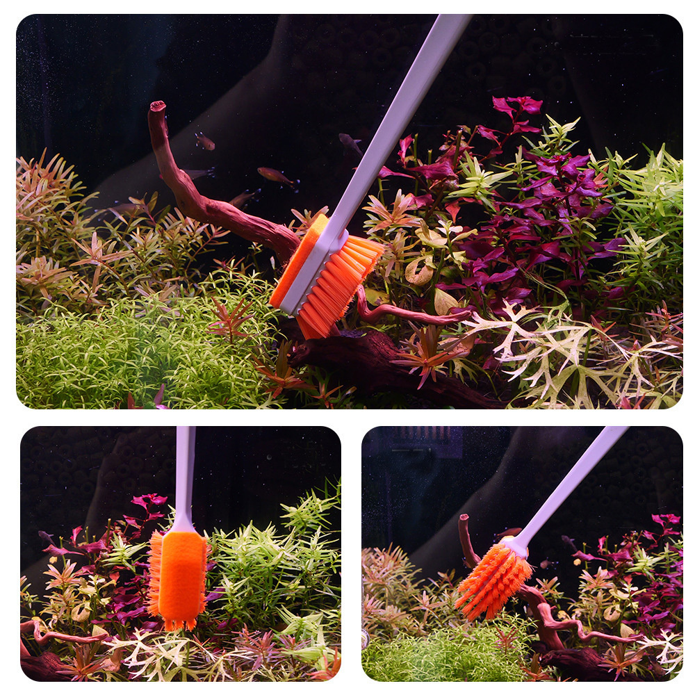 QANVEE Aquarium MK3 Fish Tank  - Planted Aquarium Algae recensione e prezzo