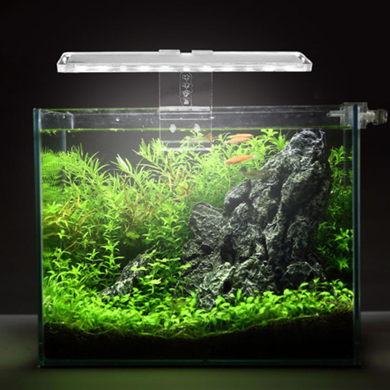LED Aquarium Lamp Plant Light  - Planted Aquarium Price recensione e prezzo