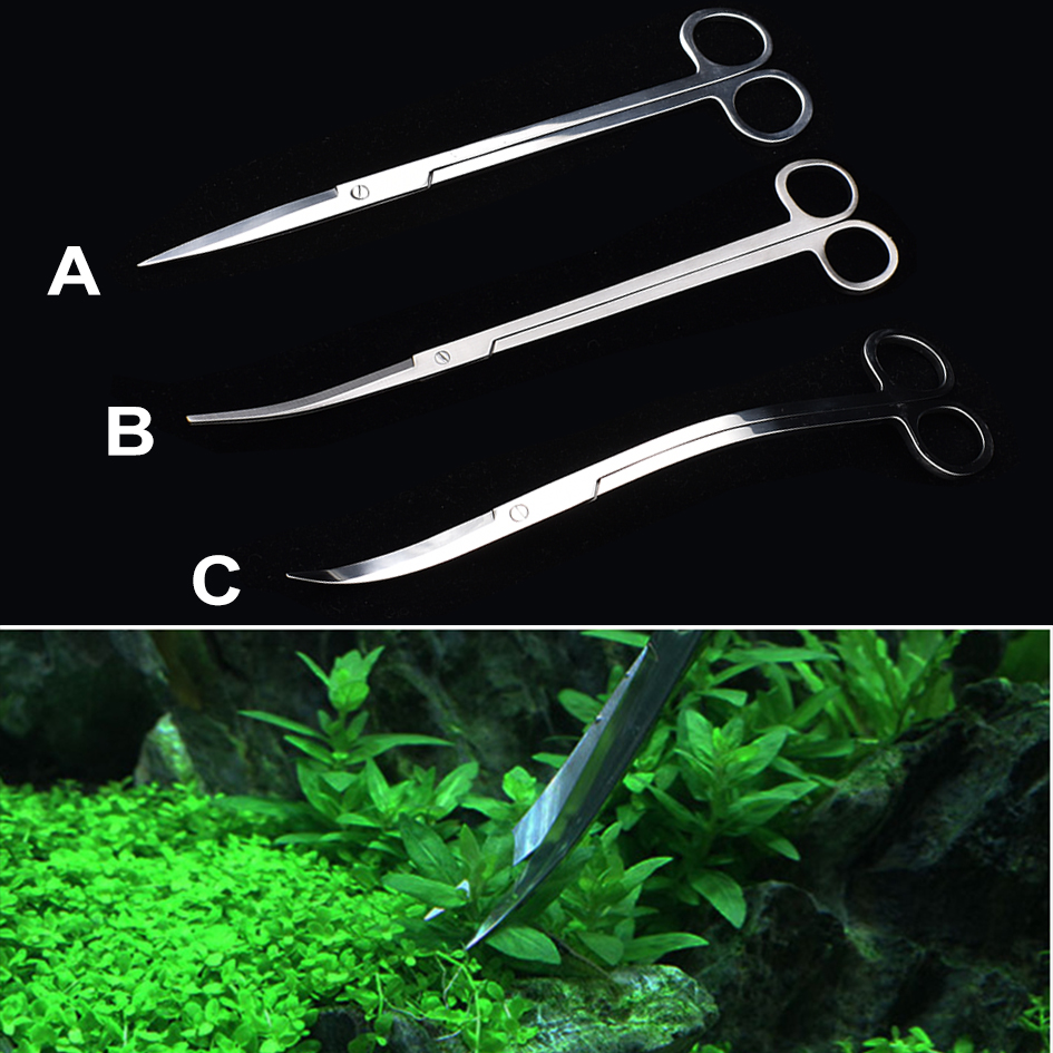 25cm Stainless Steel Aquarium  - Planted Aquarium Algae recensione e prezzo