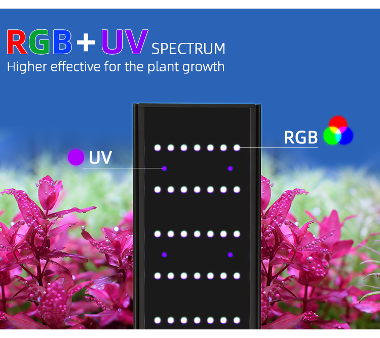 WEEK AQUA L Series APP Control - Aquarium Plant Display recensione e prezzo