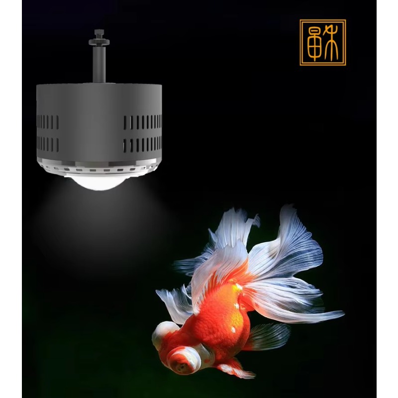 100W Timed Dimming Full Spectr - Planted Aquarium Algae recensione e prezzo